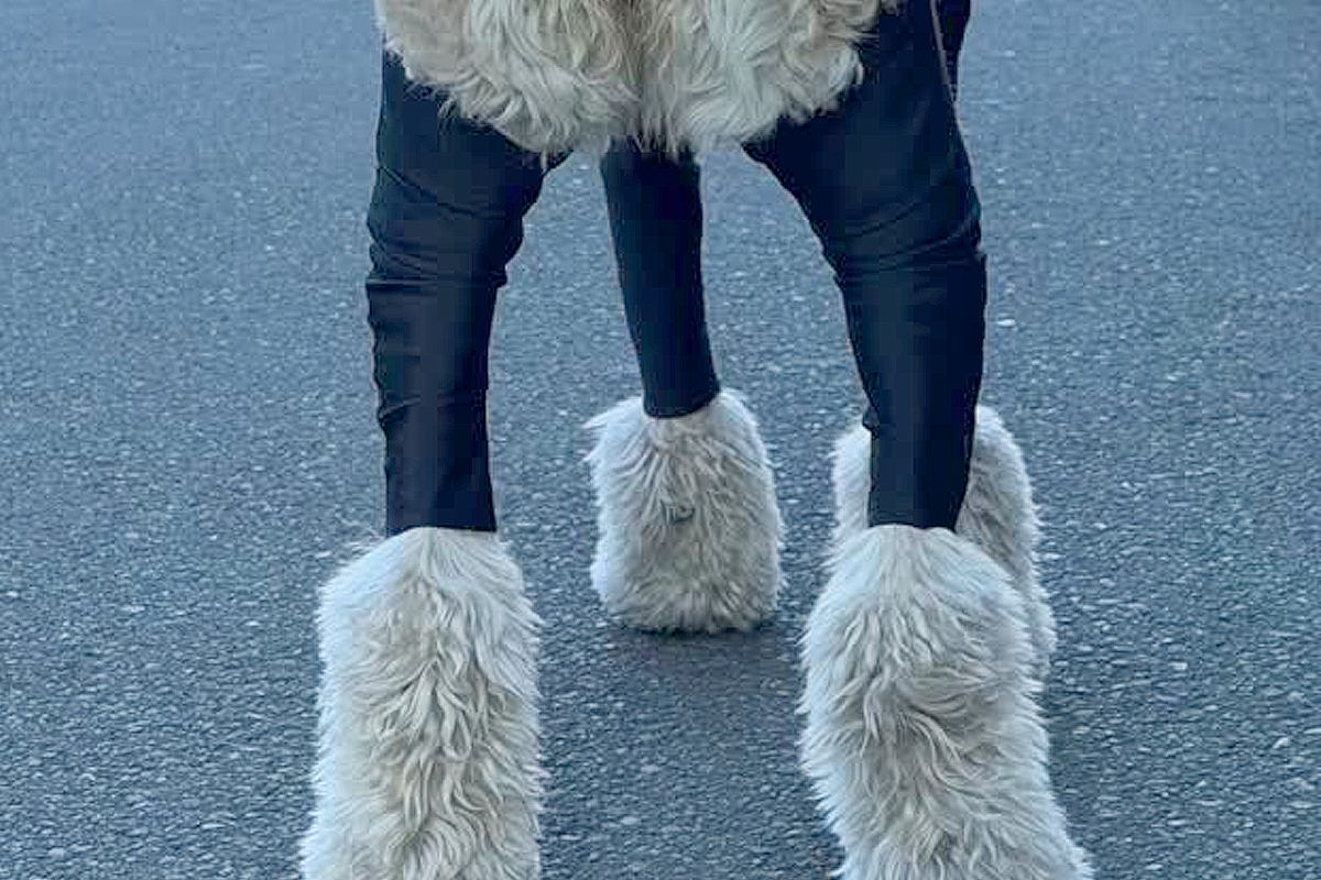 大型犬が汚れないよう『服を着せた』結果→フィットしすぎて…まさかの『脳がバグる光景』が82万再生「ひつじのショーンみたい」「笑った」