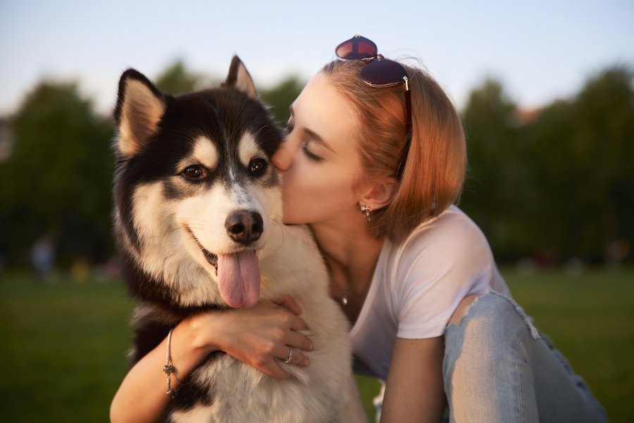 イギリス発のリサーチ結果、若い飼い主が犬に求めるのは「友情」