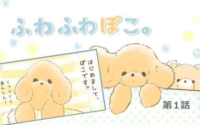 ふわふわぽこ。【第1話】「はじめまして、ぽこです！」