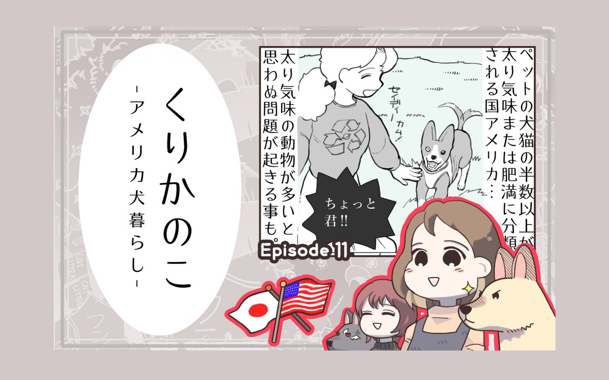 くりかのこ　アメリカ犬暮らし【第11話】「思わぬ問題」