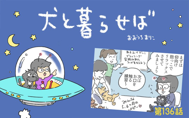 犬と暮らせば【第136話】「パピーパーティー」