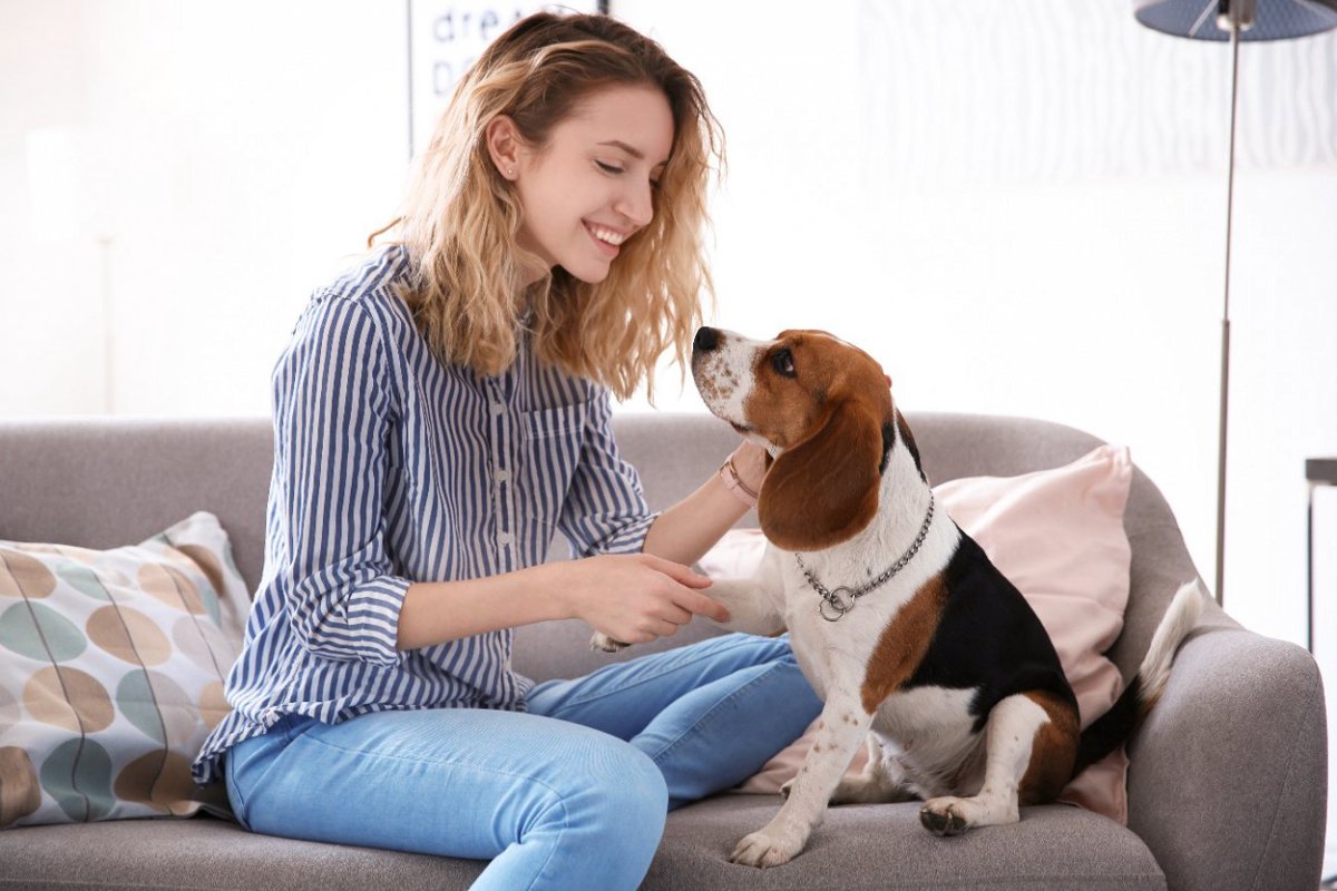 犬にとっての『飼い主』は恋人？友人？愛犬の持つ印象に「なるほど」「その子にもよるのかな」共感の声