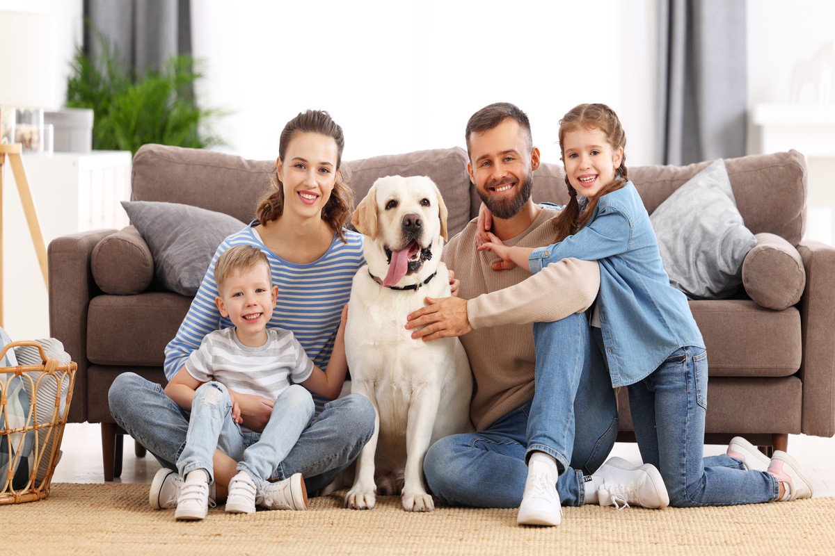 犬は『家族に順位付け』をしていなかった？愛犬が人によって態度を変える理由とは