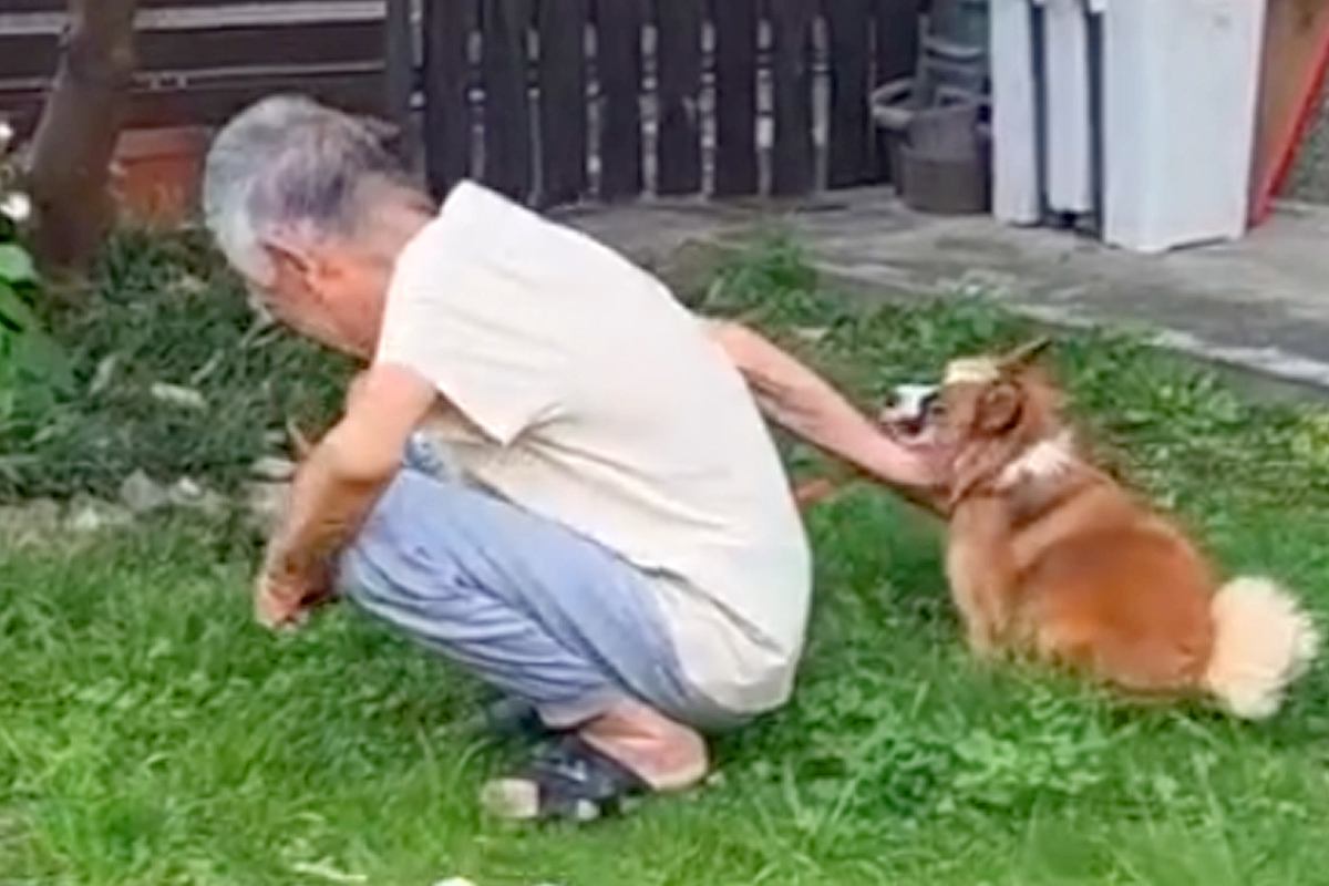 おともだちの『92歳のおじいちゃん』に会いに来た犬→気付いた瞬間に…微笑ましいやり取りに反響「大好きなんだね」「おじいちゃんも素敵」