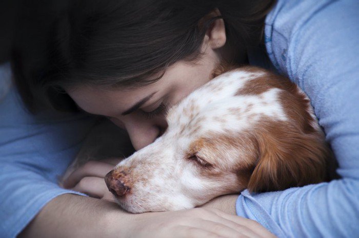 愛犬との最期の過ごし方｜どんな心構えで過ごし、どんなことを準備しておくか？現役獣医がアドバイス
