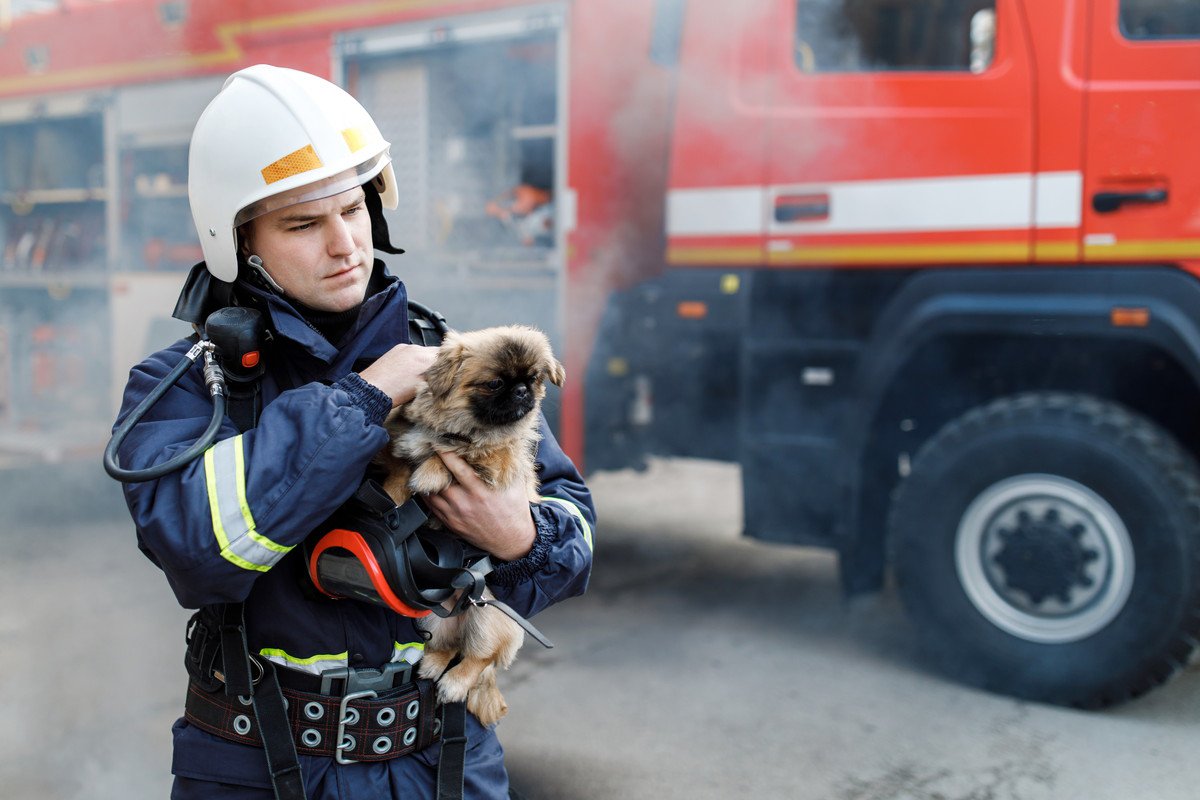 犬が原因で火事が起きる5つの原因とは　飼い主が注意すべきポイントをご紹介