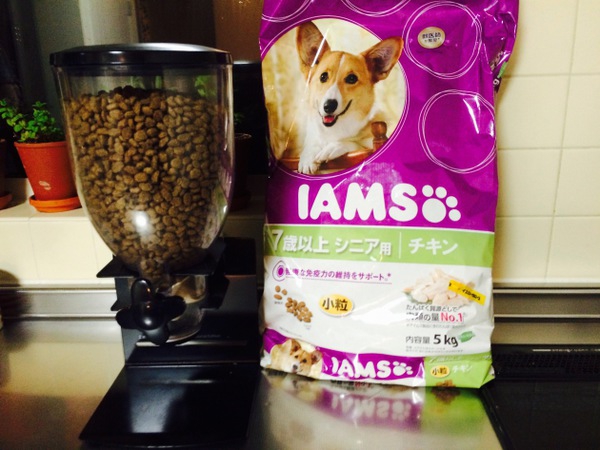 おすすめのドッグフード「IAMS（アイムス）」お腹も健康で毛艶良し