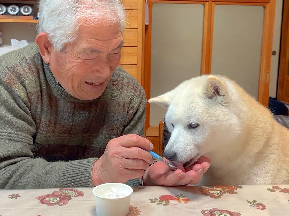 祖父と犬が一緒に暮らした結果…まるで孫のように『溺愛しまくる光景』が微笑ましいと26万再生「おじいちゃんデレデレで草」「尊くて涙が…」