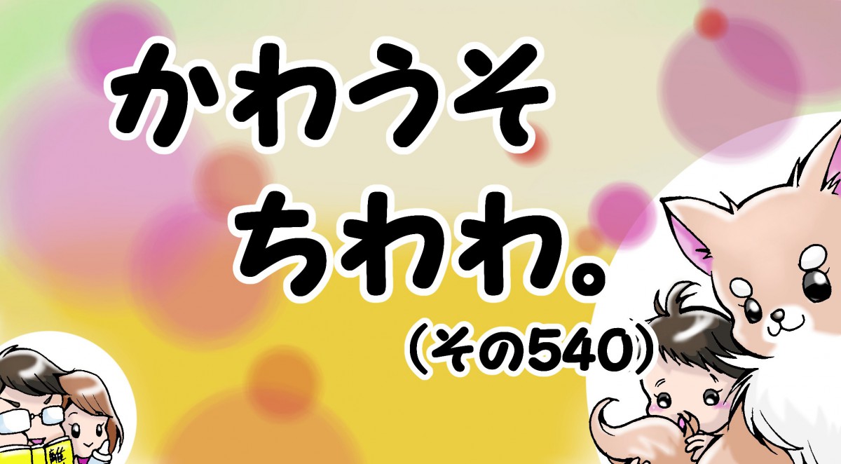 かわうそちわわ。【その540】「仲良く出来て嬉しかったね」