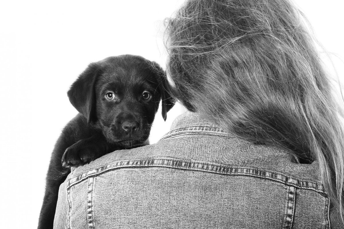 犬を飼う資格がない人の特徴5選　飼う前に必ず目を通しておくべき『飼い主適正チェック』も