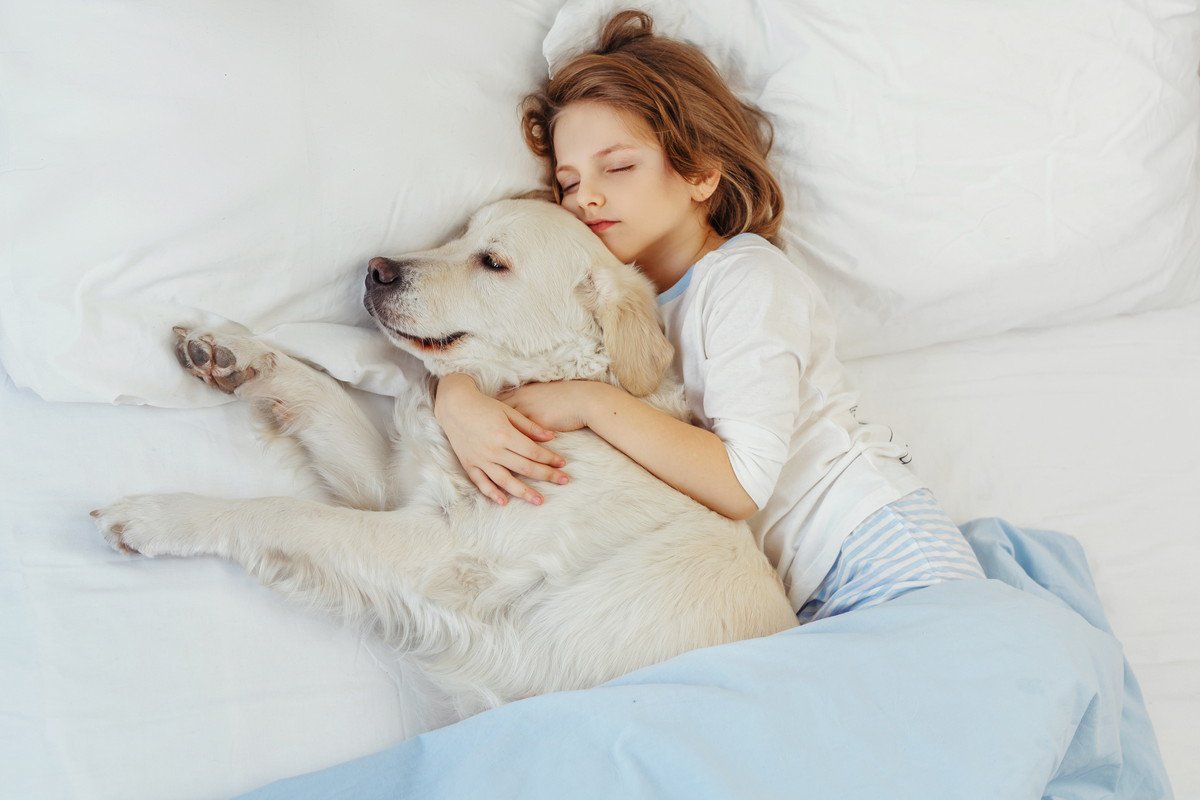 なぜ犬は『体調不良の飼い主』に優しくするのか？2つの理由を解説