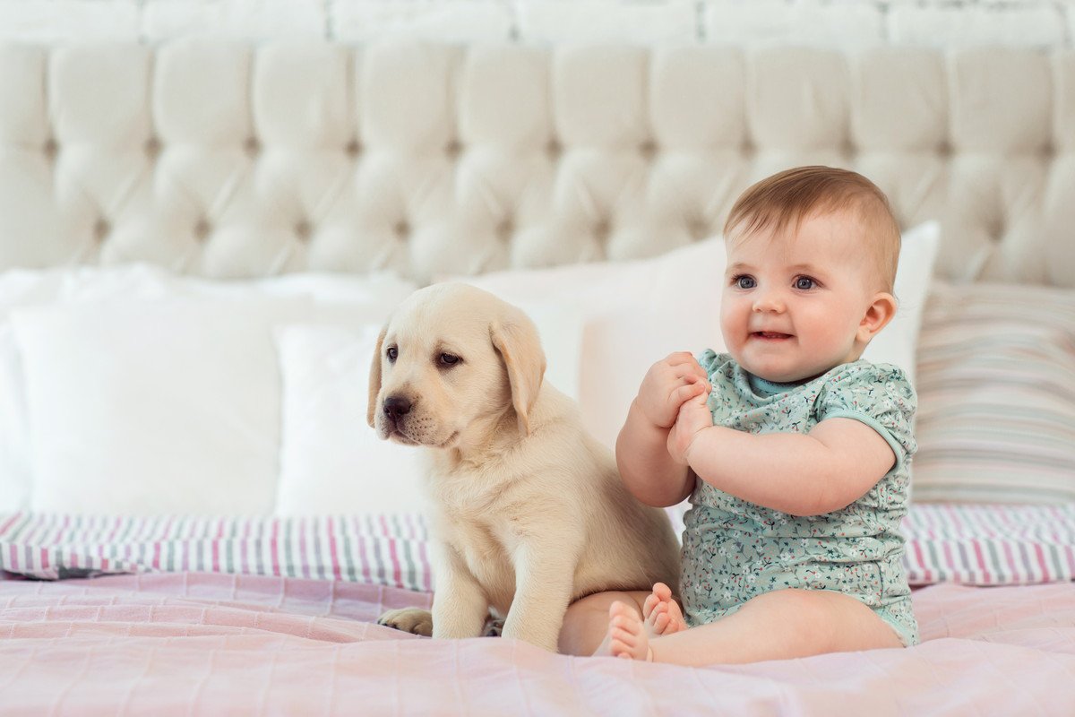 『温厚でおとなしい』犬種５選　落ち着いた性格に育てるコツはあるの？