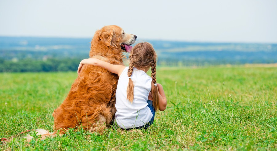 今年のうちに振り返りたい犬の知識５選