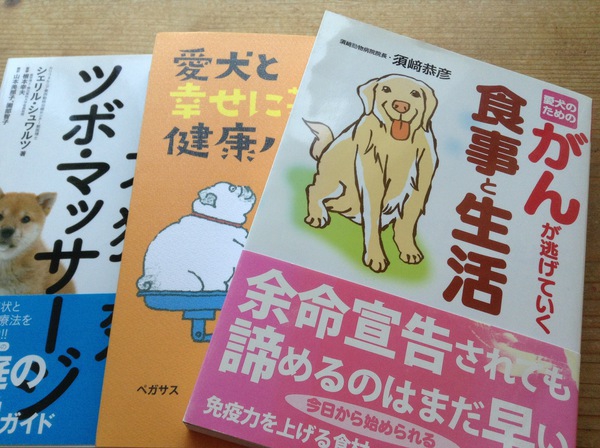 犬が10歳を超えたら要注意！癌になる原因とその予防法