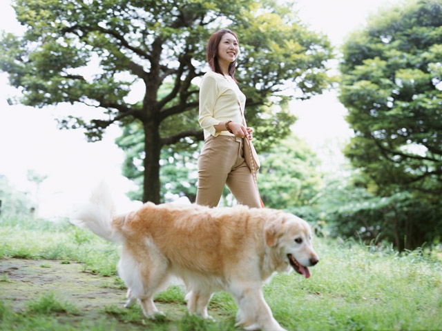 犬の飼い主資格制度～スイスやドイツの法律から学ぶ事～