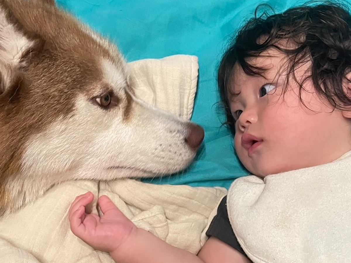 ママが家事をしているすきに、赤ちゃんと大型犬が…あまりにも尊い『母性が爆発している光景』が594万再生「素敵」「ずっと見てたい」と反響