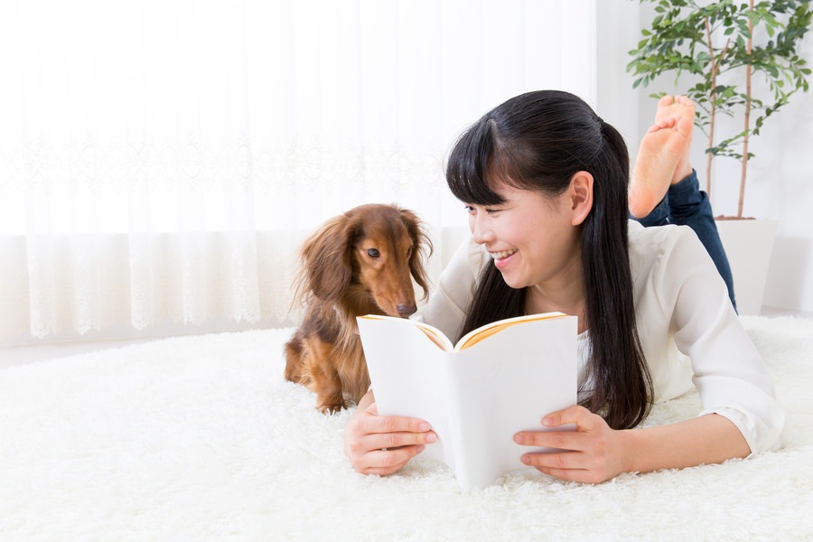 犬を飼って初めて知ったこと・気づいたこと10個