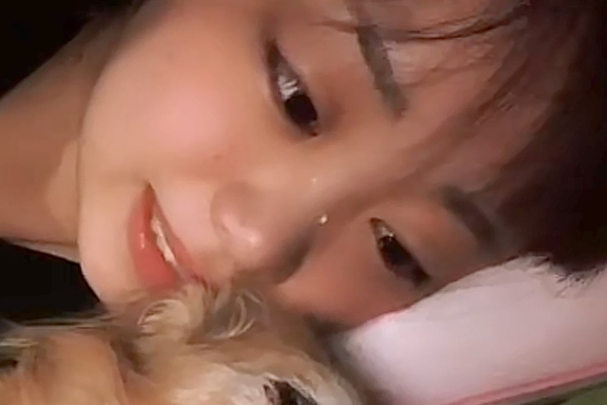 愛犬が亡くなる前日、動けなくなった中『親にワガママ』を言って一緒に寝転がり…涙あふれる『儚い光景』が243万再生「泣いた」「絶対幸せだ」