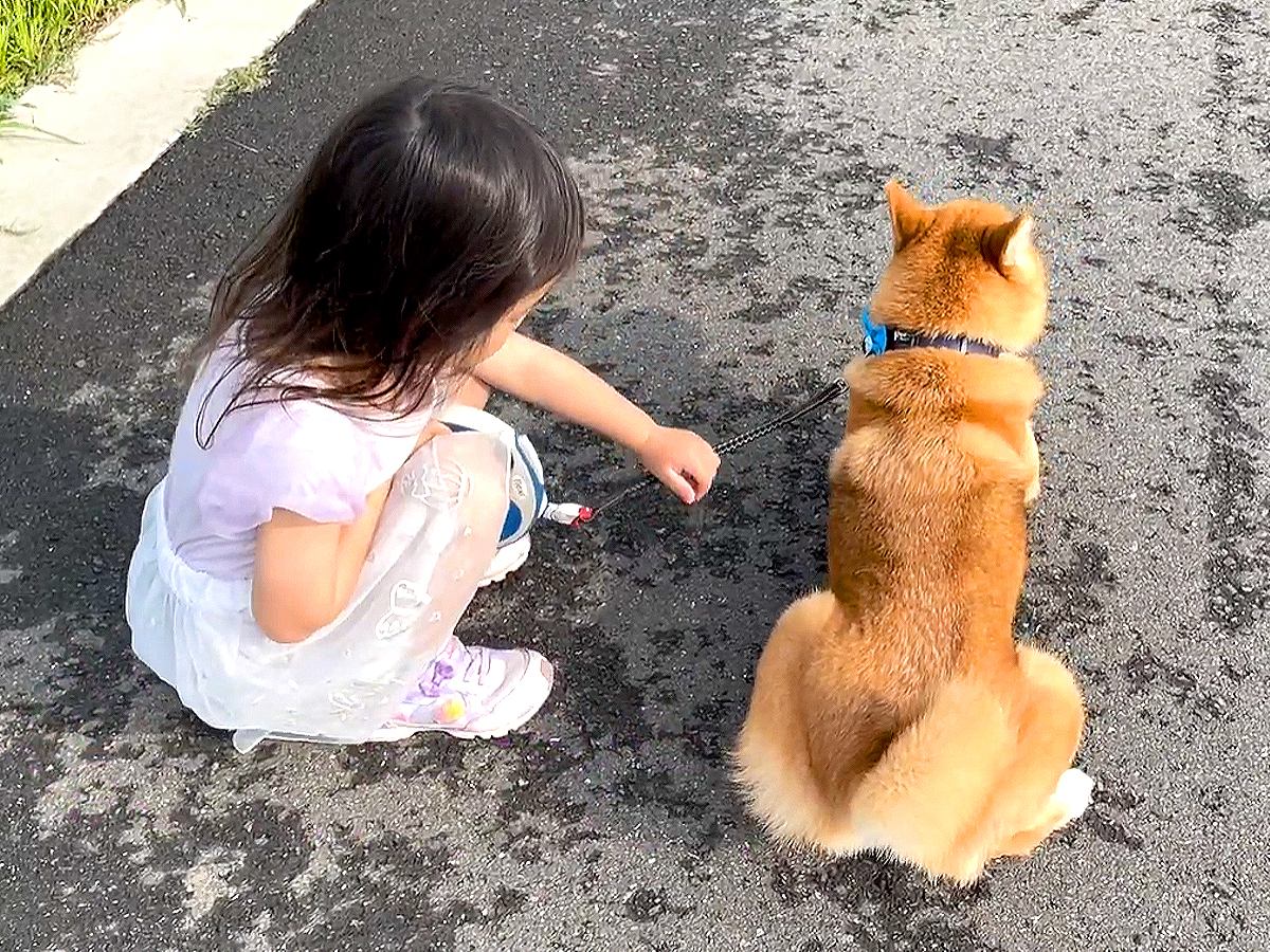 3歳の女の子が『散歩で動かなくなった犬』にした行動…まさかの『説得を試みる光景』が尊くて泣けると16万再生「涙が…」「見習わないと」