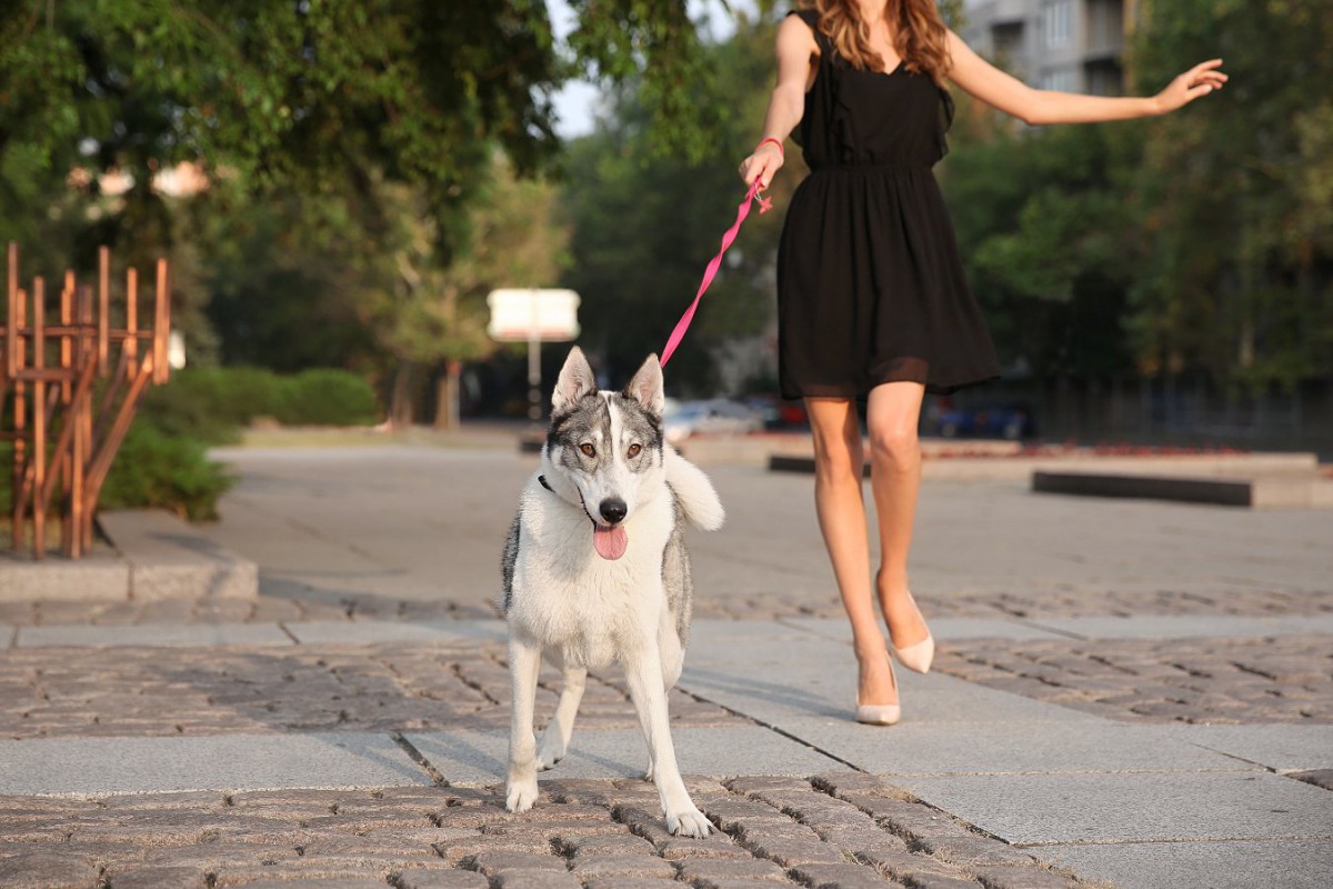 犬の散歩をする時に着てはいけない『服』5選！実は危険なコーデと着るべき服とは？