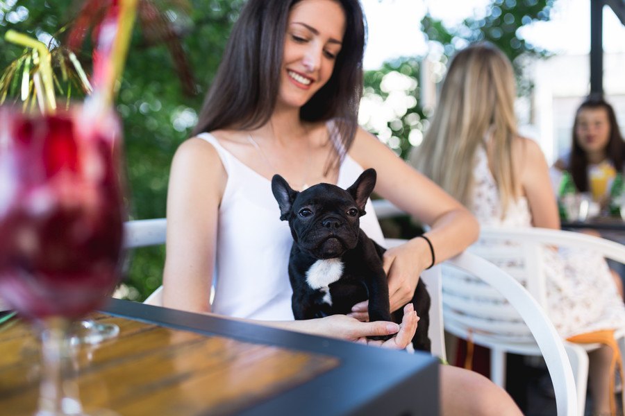 川越のドッグカフェおすすめ8選！ペット同伴でランチ、スイーツが楽しめる犬カフェ