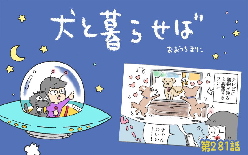 犬と暮らせば【第281話】「テレビっワンコ」