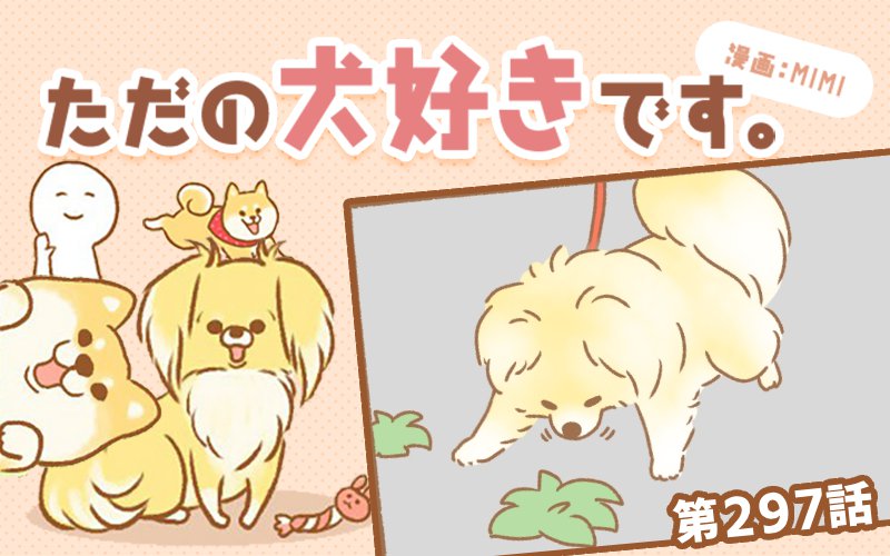 ただの犬好きです。【第297話】「しまった！」