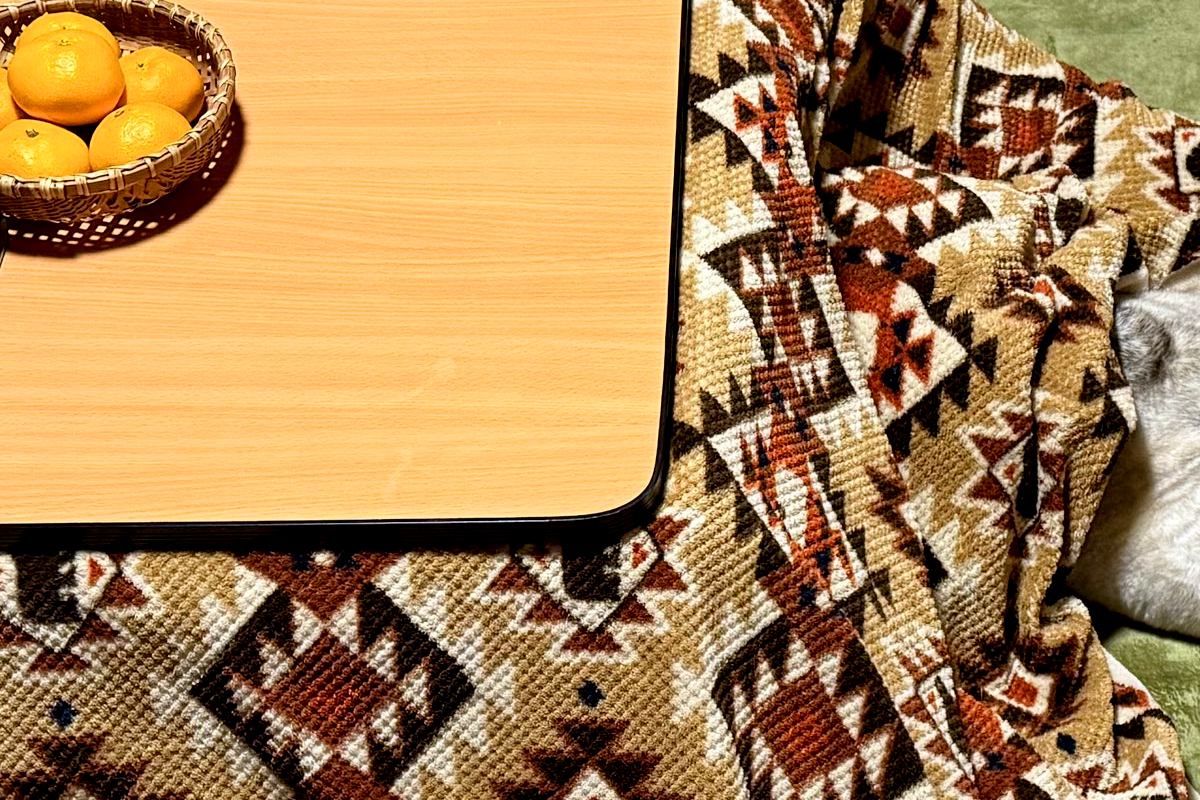 カッコよくて寒さに強いイメージの『シベリアンハスキー』→実際は…想像とかけ離れている『衝撃の光景』に4万いいね「情けなくて草」「野生ｗ」