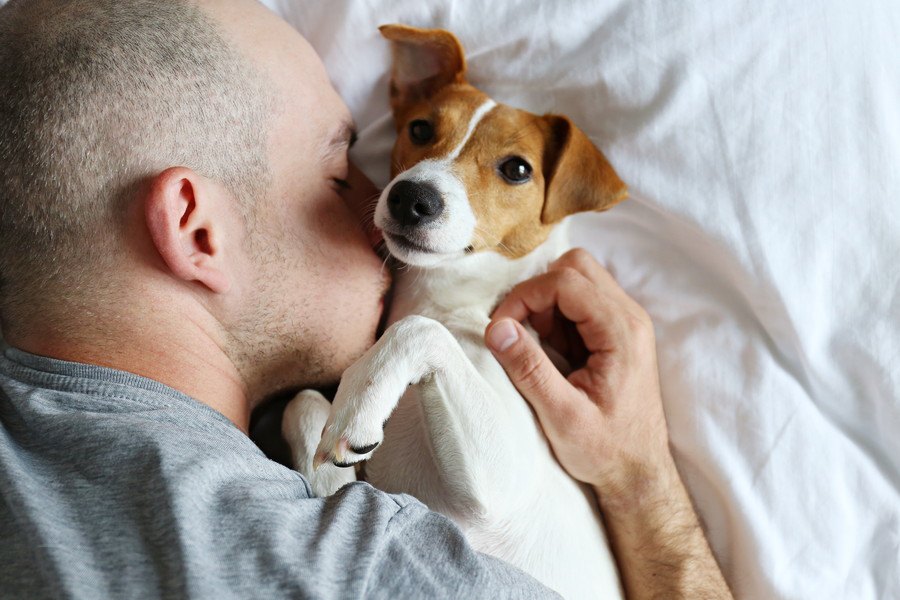 犬が飼い主の体に体をこすり付けてくる心理３つ