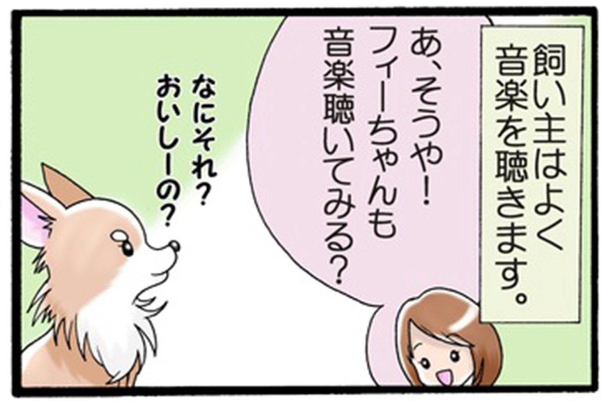 かわうそちわわ。（51） ヒールングのお味は？