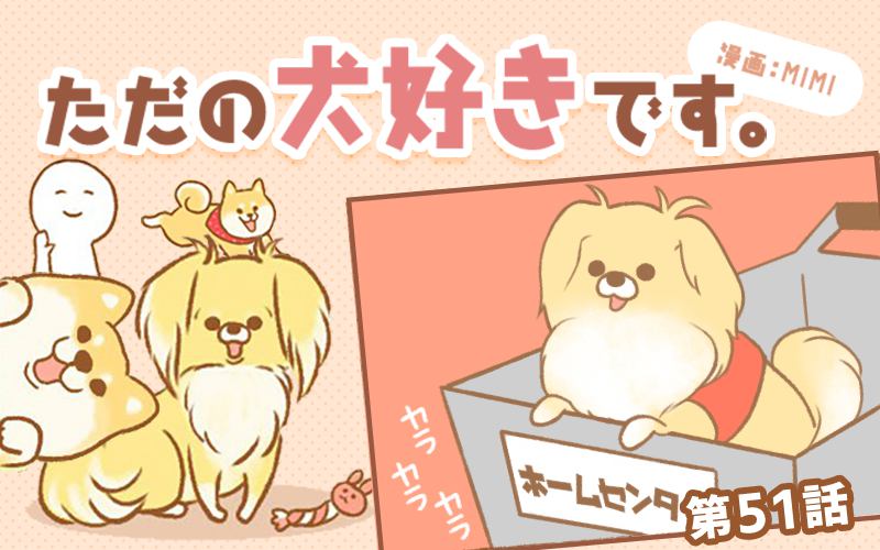 ただの犬好きです。【第51話】「可愛いお洋服」