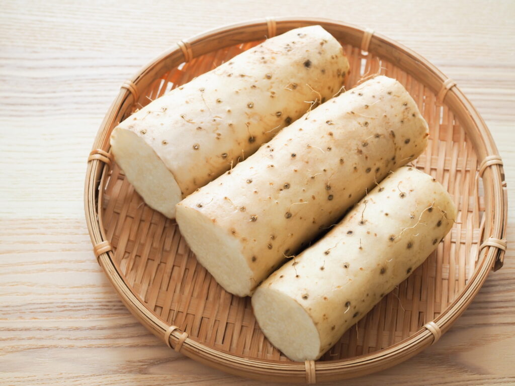 【獣医師監修】犬に長芋を与えても大丈夫?生は食べれる?与え方や注意点を分かりやすく解説