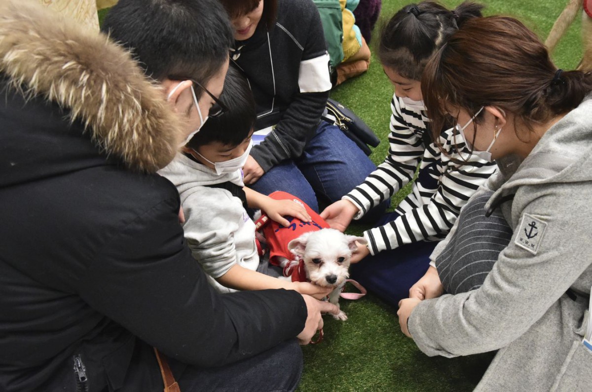 国内最大級の大譲渡会「ブレーメンパーク」約300頭の保護動物が集結！ 