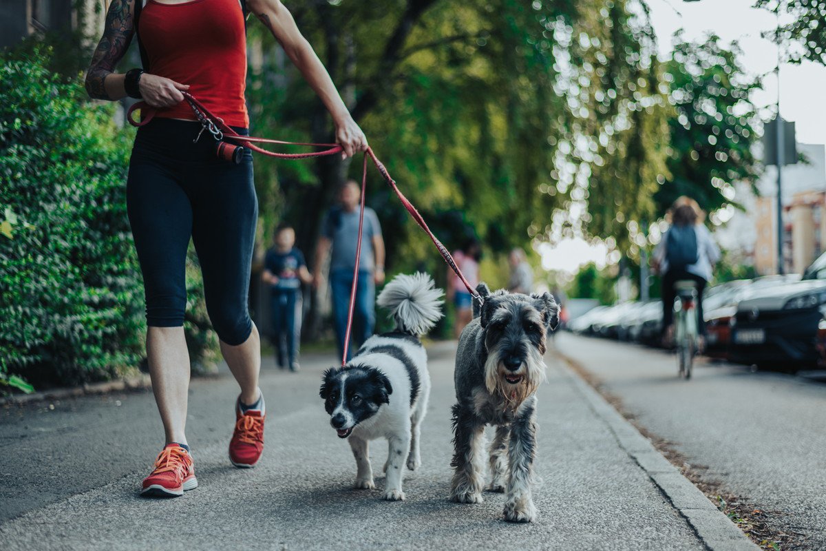 犬のことが最優先になると陥りやすい5つのこと　愛犬や周りの迷惑になりかねないNG行為とは