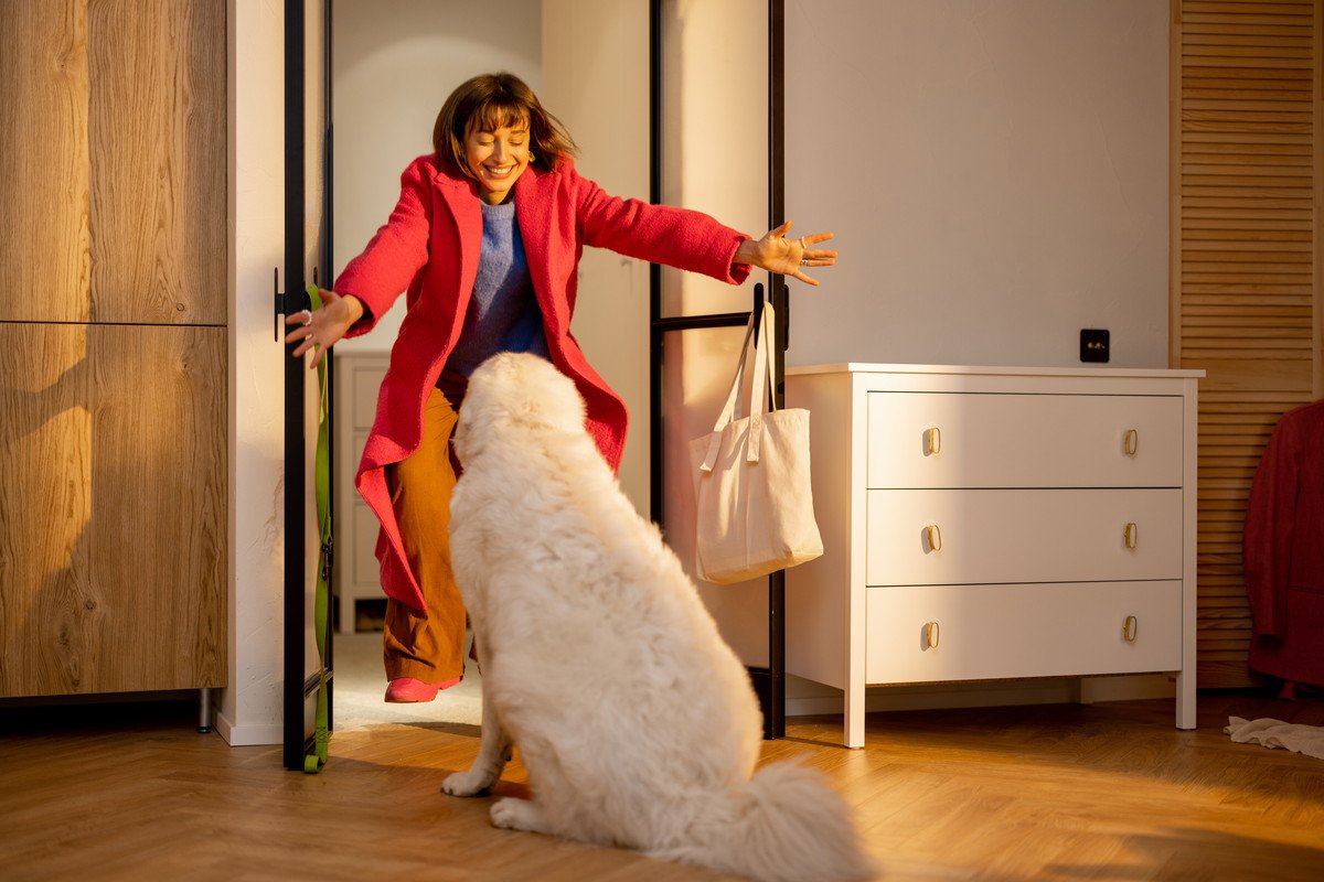 犬が『飼い主の帰宅』に敏感な3つの理由　なぜ察知できるの？ワンコたちが持つ驚きの能力とは