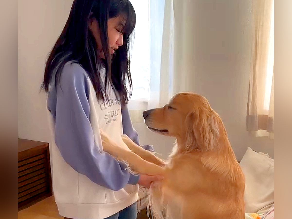 大型犬が女の子に『もうちょっとこっちに来て』と言うので近づくと…思わずニヤける『可愛い理由』が12万再生「人間入ってる？」「素敵な瞬間」