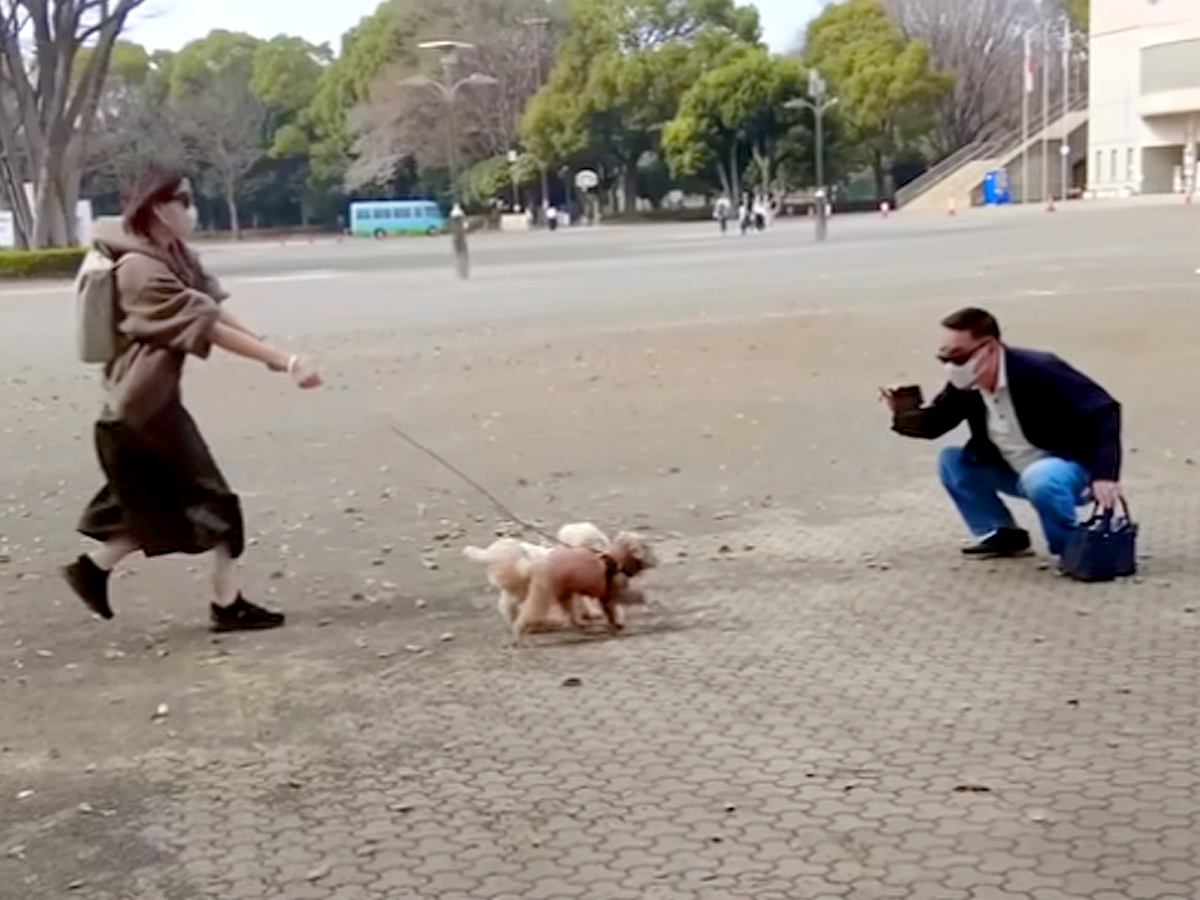 公園でおじいちゃんと待ち合わせ→７ヶ月ぶりの再会で犬が…発見した瞬間の『尊い光景』に「嬉しいが溢れてる」「なんか泣けた」と感動の声