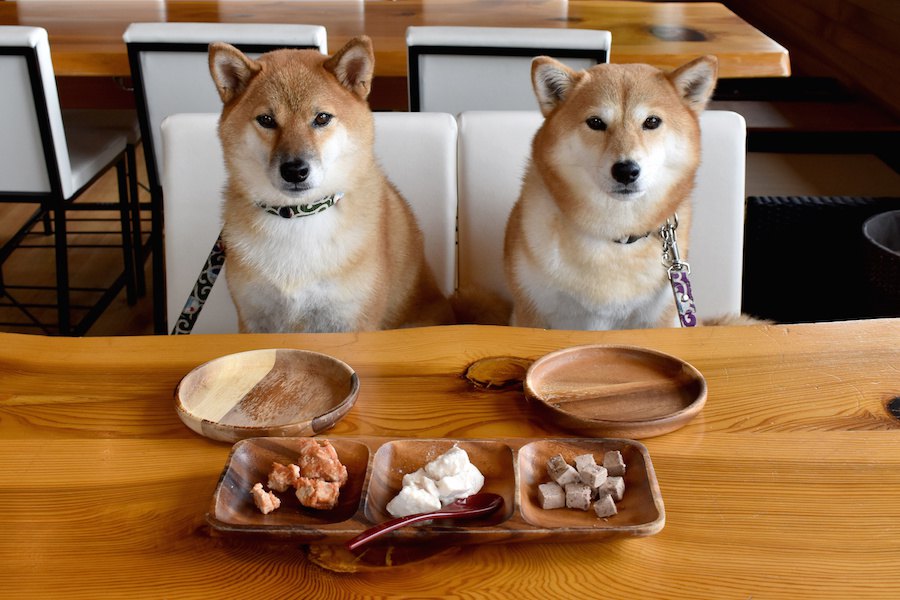 犬がのどに詰まらせやすい食べ物６選