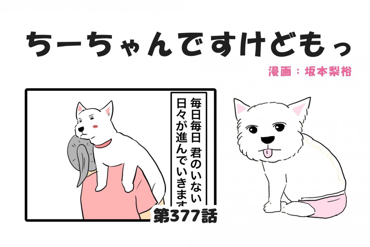 ちーちゃんですけどもっ【第377話】「君のいない人生を歩んでいく」