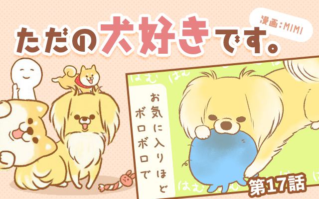 ただの犬好きです。【第17話】「我が家のおもちゃ」