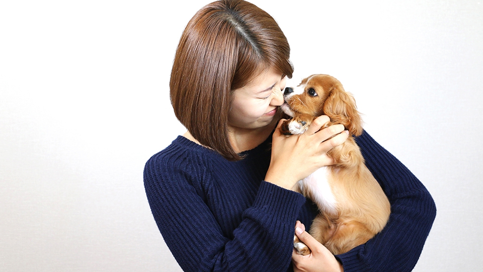 犬は恩を忘れないと言う説は本当なの？