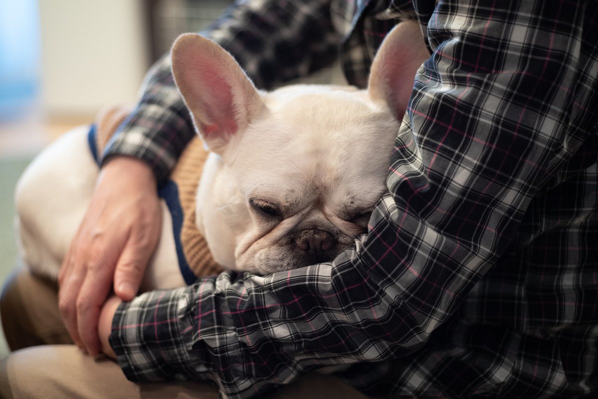 愛犬の食物アレルギーに対する配慮が全くない飼い主