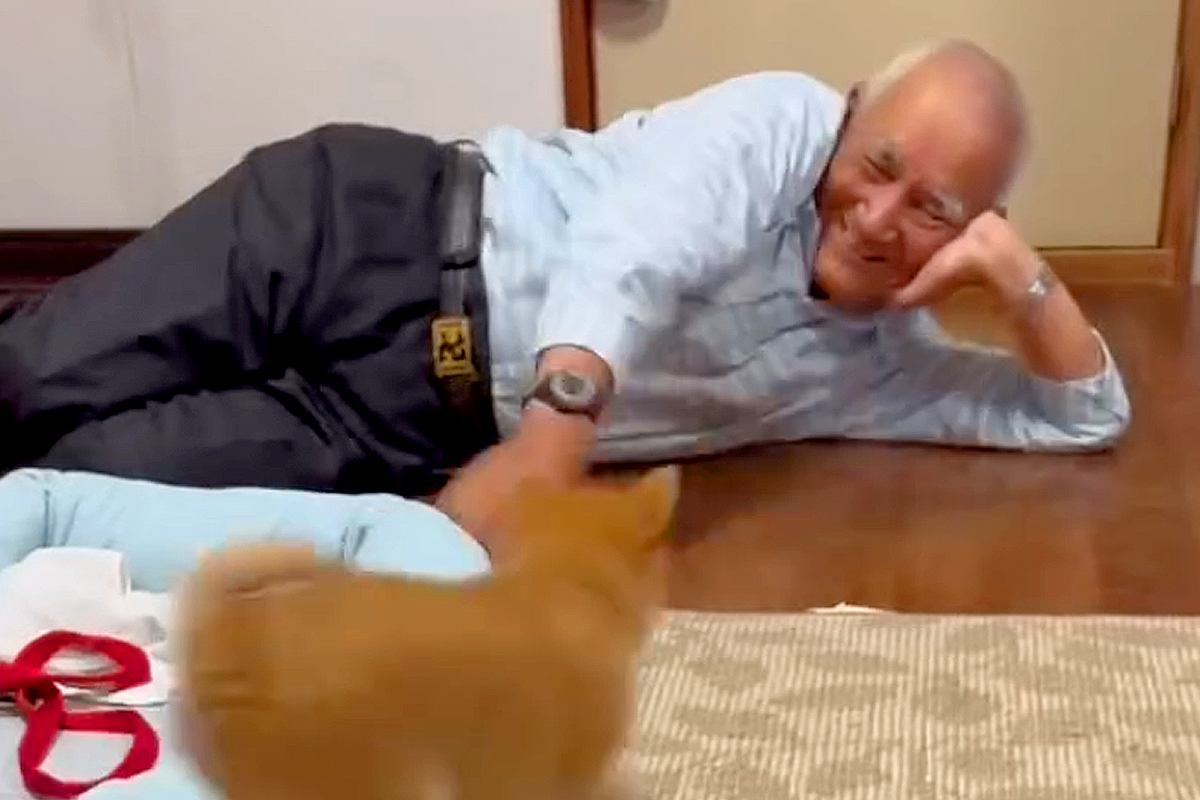 おじいちゃんが『小さな子犬』と初めて会った結果→互いにテンションが上がり…ずっと見ていたいやり取りに反響「おじいちゃんの方が面白くてｗ」