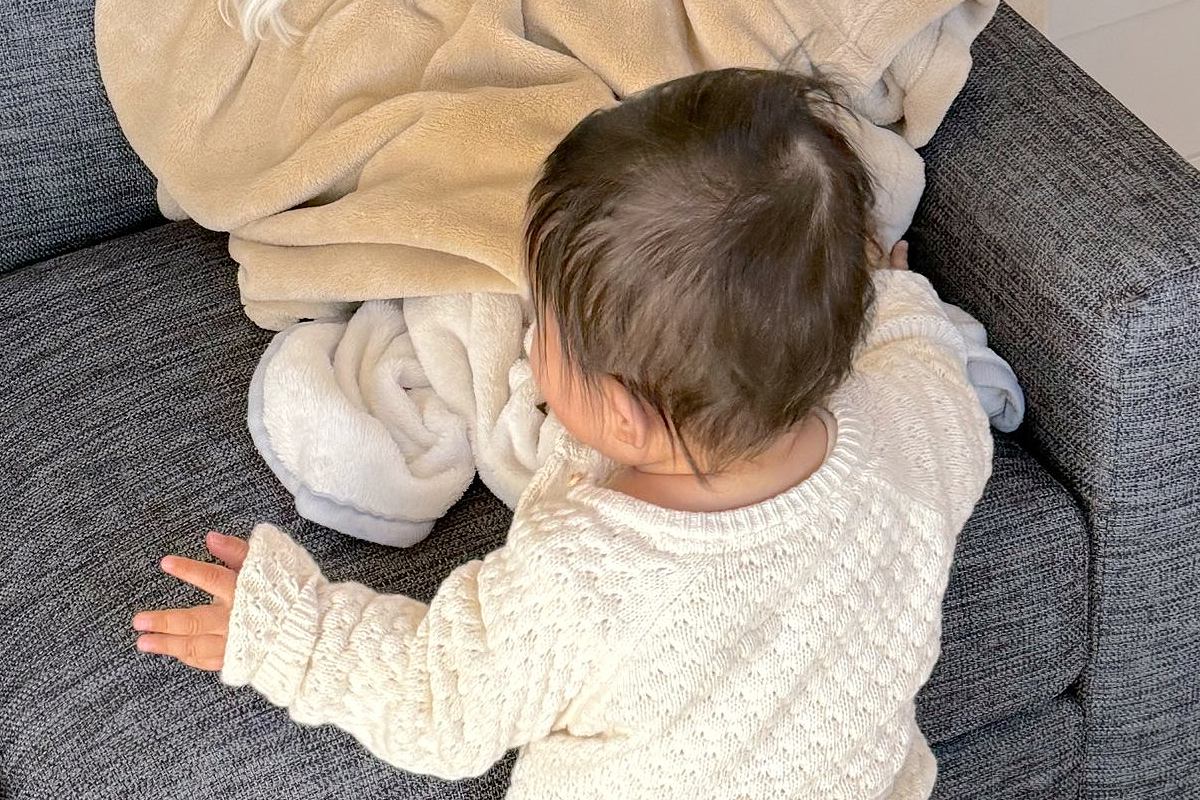 1歳の女の子が届かない位置に避難する犬→想定外だった『賢すぎる方法』と『ドヤ顔』が8万4000表示「天才ｗｗ」「イッヌの勝利」と爆笑