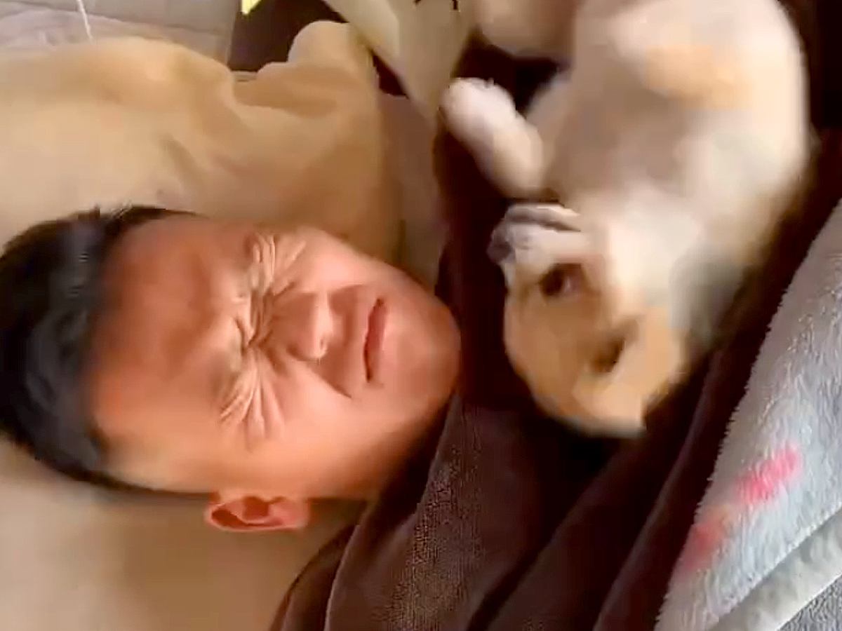 朝6時、爆睡しているパパ→起きた犬が隣で…想像を超える『激しい目覚まし方法』が16万再生「寝坊せずにすみそうｗｗ」「痛そうで草」と爆笑
