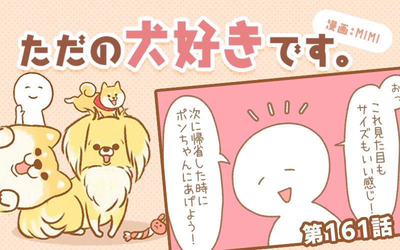 ただの犬好きです。【第161話】「ぬいぐるみの行く末」