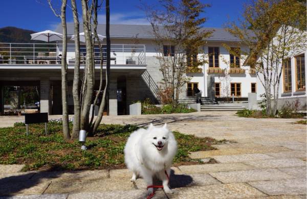 河口湖の新名所、愛犬と一緒に楽しめる富士大石ハナテラス