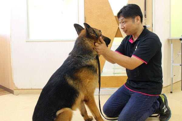 潮見駅から徒歩１分！愛犬のしつけに困ったら『DogSchool UMS』に相談を