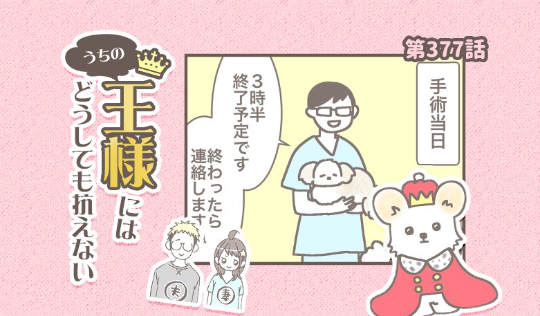 うちの王様にはどうしても抗えない【第377話】「バンビ闘病記・手術」