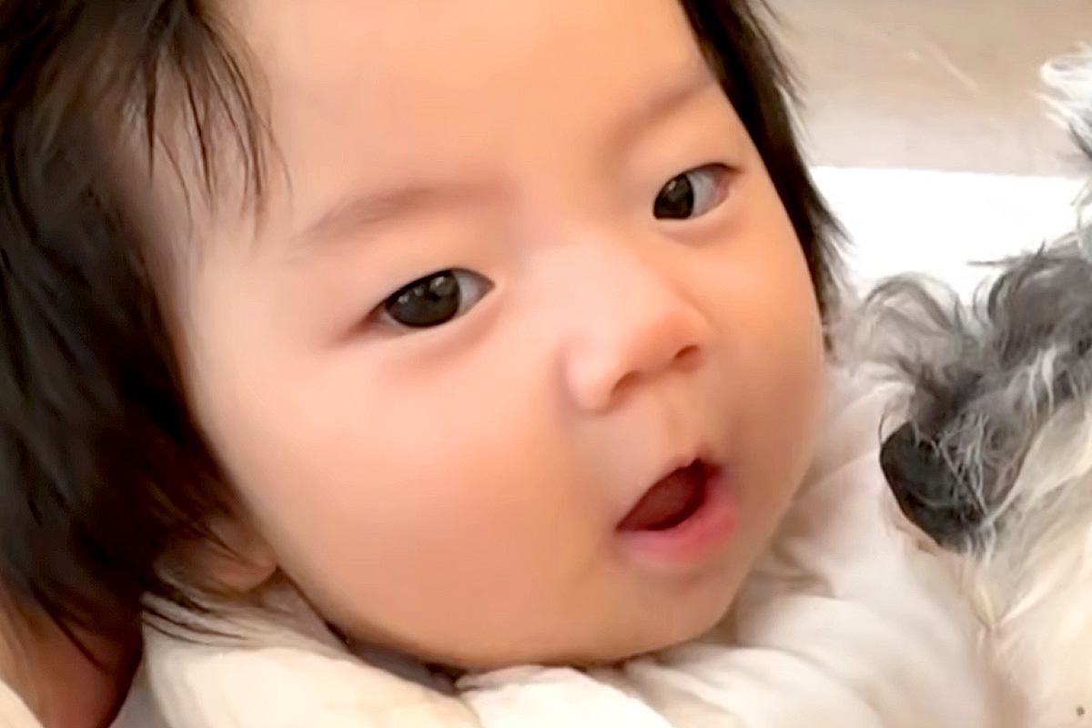 生まれて半年の赤ちゃんと犬→『大好き』が溢れてしまい…あまりにも尊い『距離感がバグっている光景』に反響「見守ってて優しい」「可愛すぎる」